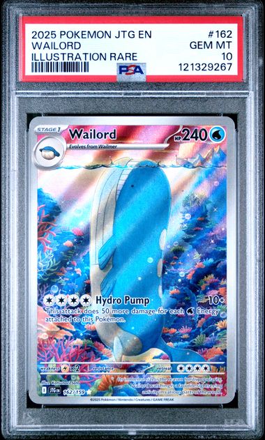 2025 POKEMON JTG EN-JOURNEY TOGETHER 162 WAILORD ILLUSTRATION RARE PSA 10