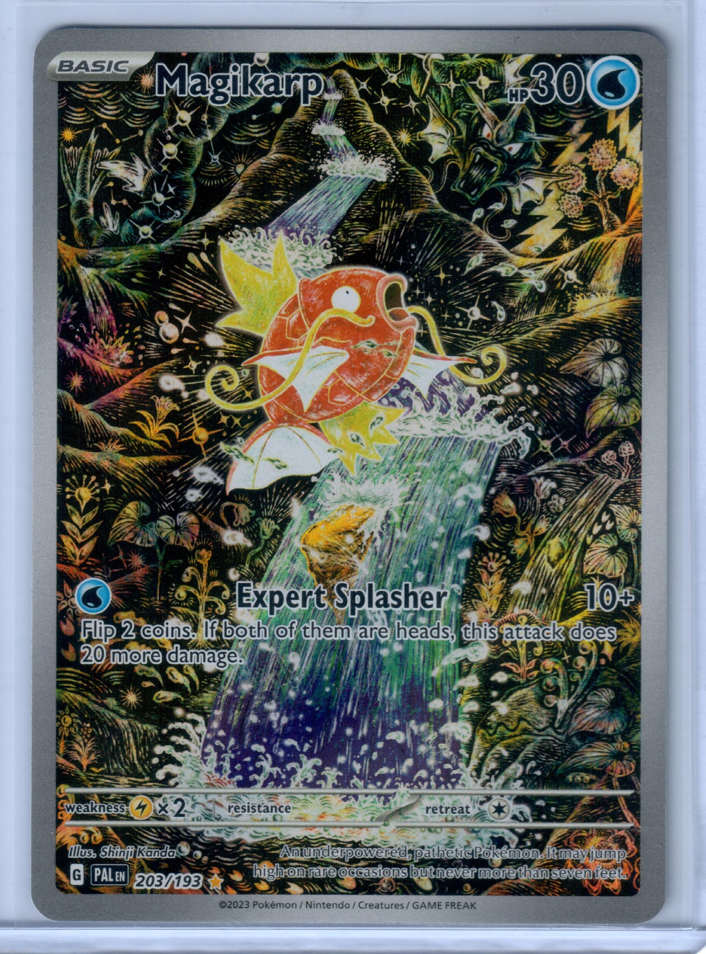 Magikarp - 203/193 - SV02: Paldea Evolved (PAL)